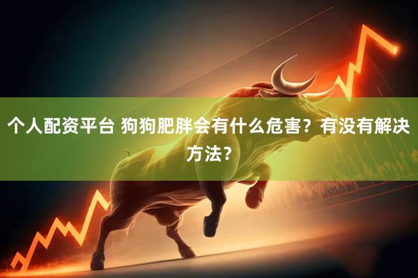 个人配资平台 狗狗肥胖会有什么危害？有没有解决方法？