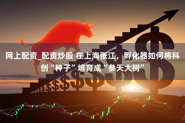 网上配资_配资炒股 在上海张江，孵化器如何将科创“种子”培育成“参天大树”